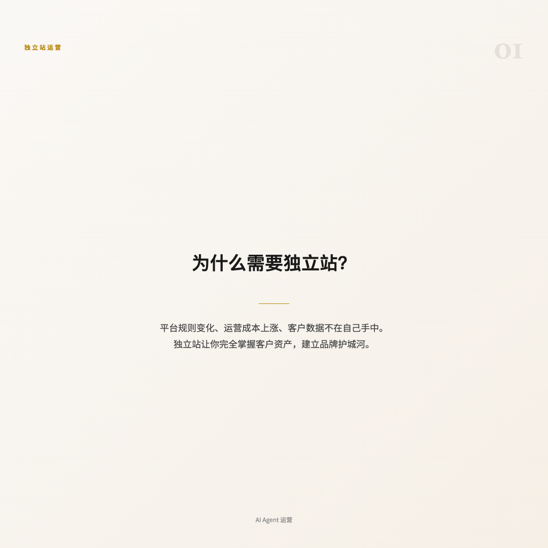 为什么需要独立站